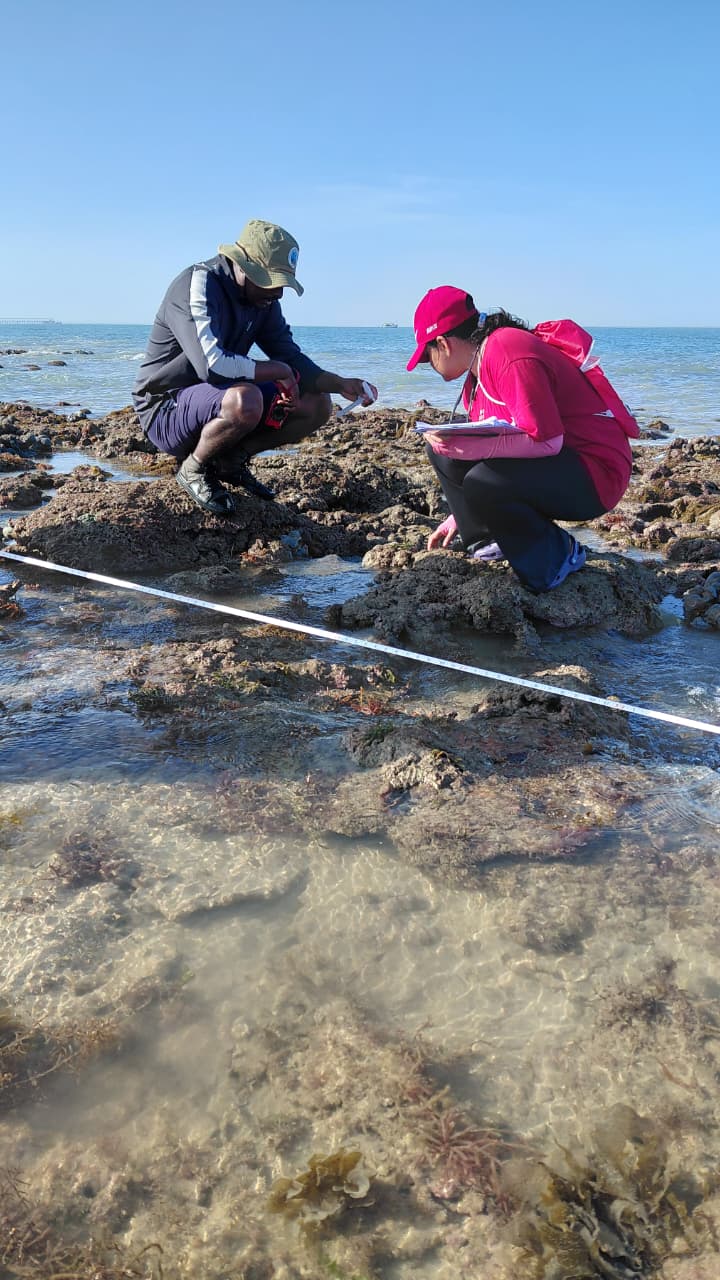 GFRF - Coral Health & Resilience at MNP 37